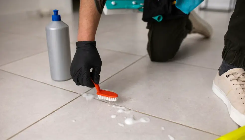 Floor Cleanning