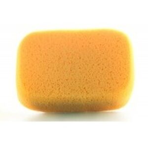 Large grout sponge for rinsing grout during restoration